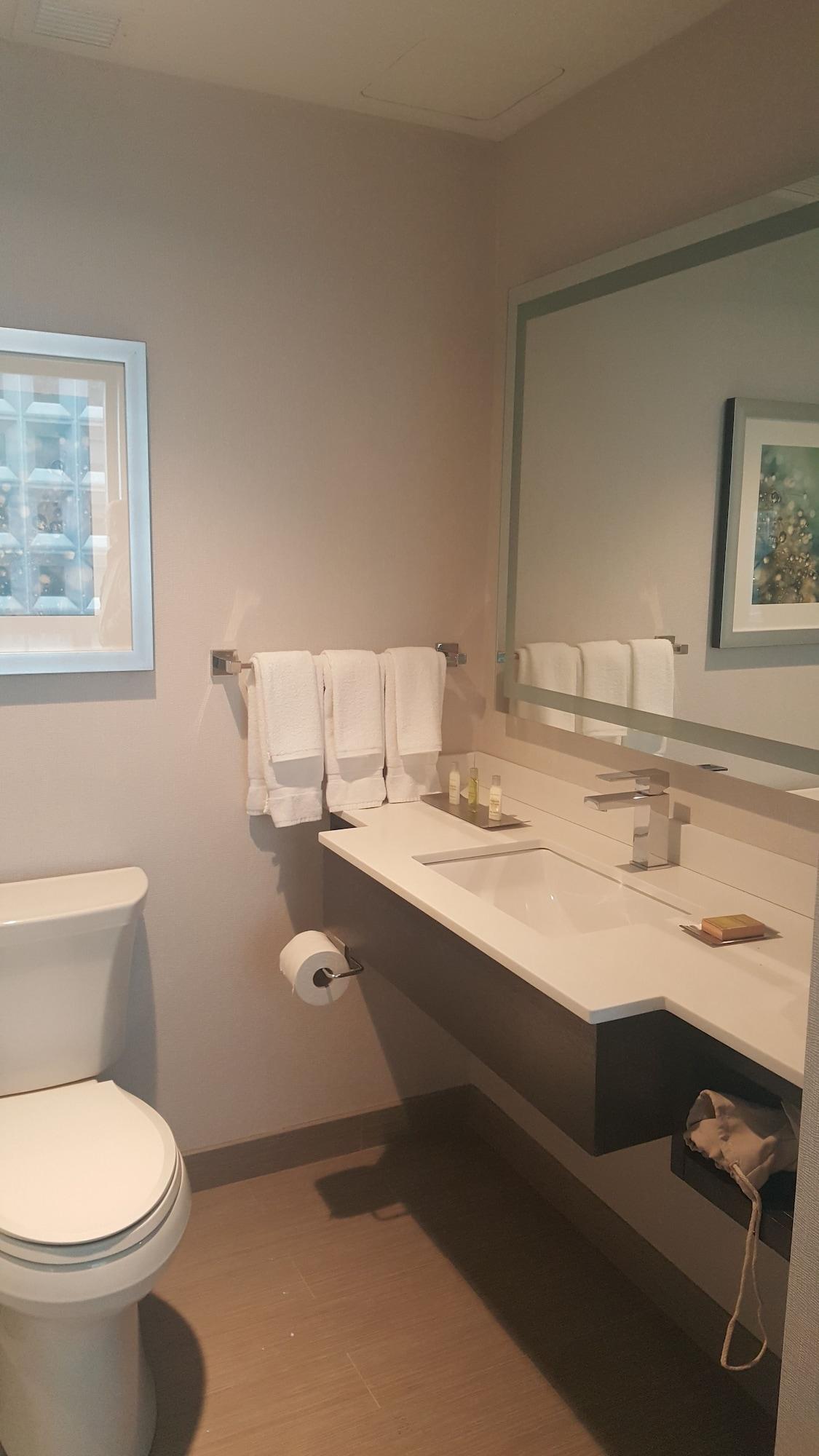 Hilton Garden Inn Nyc Financial Center/Manhattan Downtown Ню Йорк Екстериор снимка